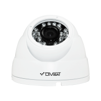 Купольная IP-камера Divisat DVI-D225A POE LV v2.0