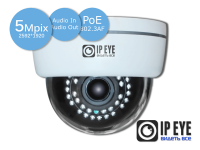 Купольная 5Мп IP-камера IPEYE-3801P